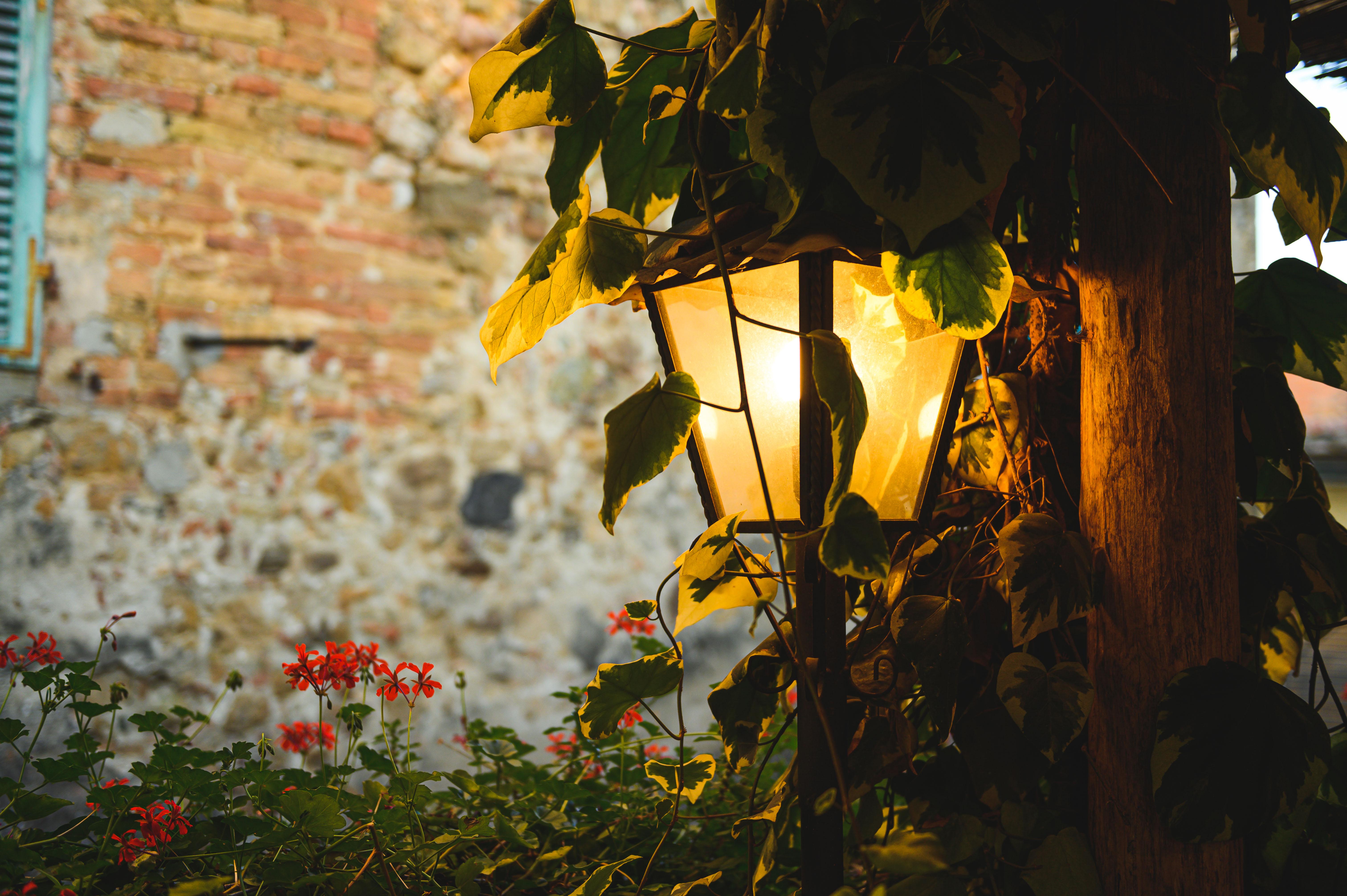 Boutique Villa Liberty - Dependance - Borgo Capitano Collection - Albergo Diffuso San Quirico d'Orcia Ngoại thất bức ảnh